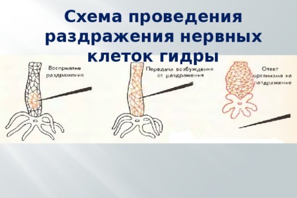 Kra30.cc