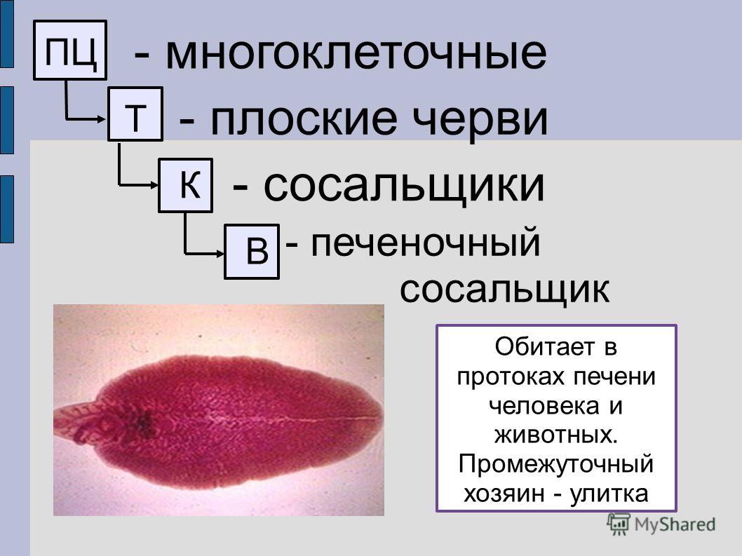 Кракен ссылка оригинал