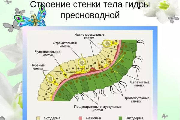Как попасть на сайт кракен