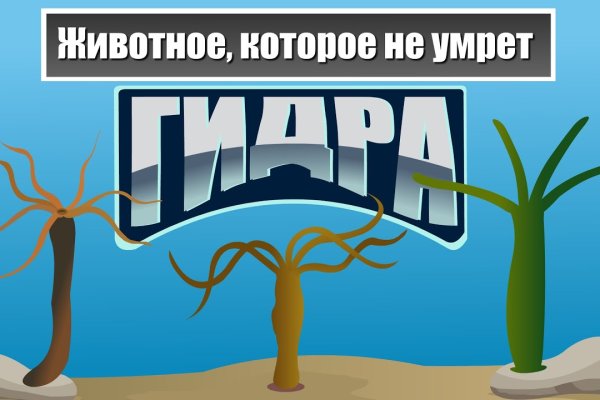 Kraken официальный сайт ссылка через tor