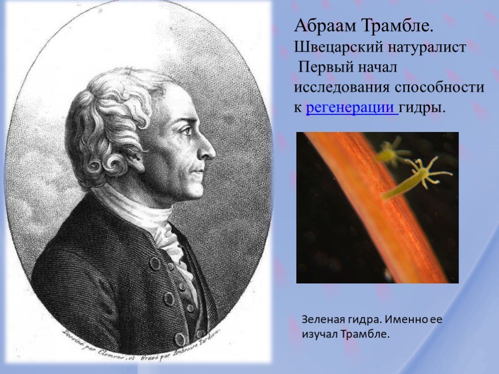 Кракен вход зеркало